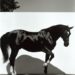 Black Horse 01